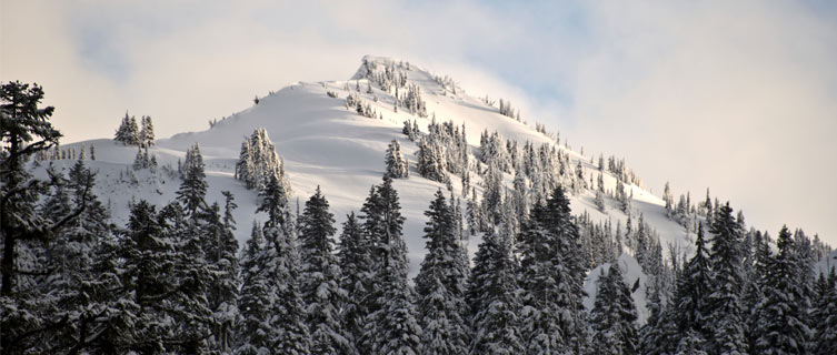 Mountain Peak in Mt. Rainier National Park