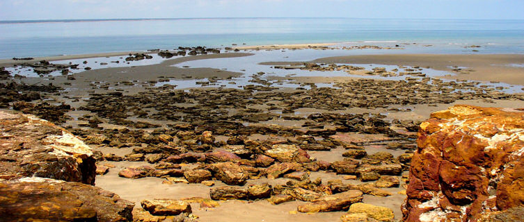 East Point Reserve, Darwin