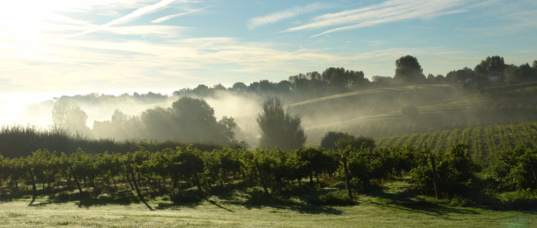 Enjoy the bucolic scenery at Three Choirs 