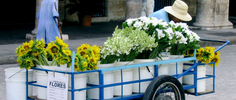 Plaza de Armas, Havana