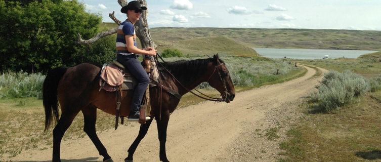 City slicker Jack Palfrey sets out to conquer the Canadian wilds