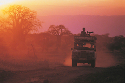 A safari in Botswana is the best way to check out the local wildlife