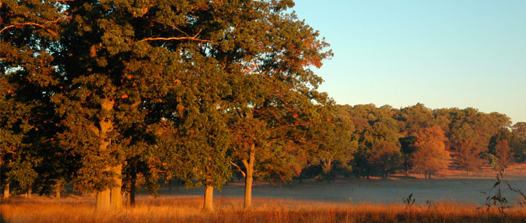 Take a day trip to Valley Forge National Historical Park 