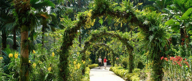 Take a stroll through Singapore's Orchid Gardens Walk.