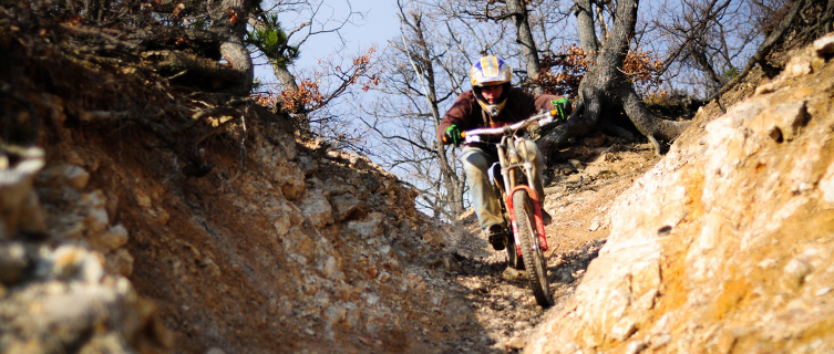 A downhill cyclist scythes the countryside