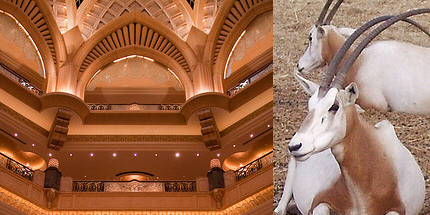 Abu Dhabi's Emirates Palace and Arabian oryx in the wildlife park