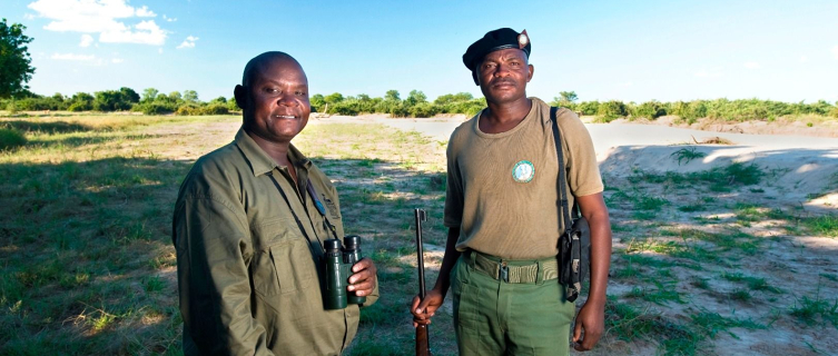 Award-winning guides in their natural habitat