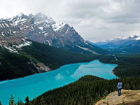 Ski through stunning forests