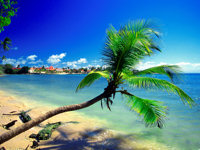 Pigeon Point Beach in Tobago