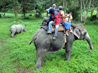 Spot Indian rhinos on the back of an elephant in Nepal