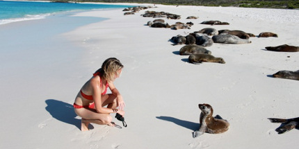 Galápagos Islands wildlife