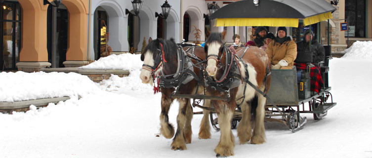 Horse-drawn sleigh ride, Sun Peaks