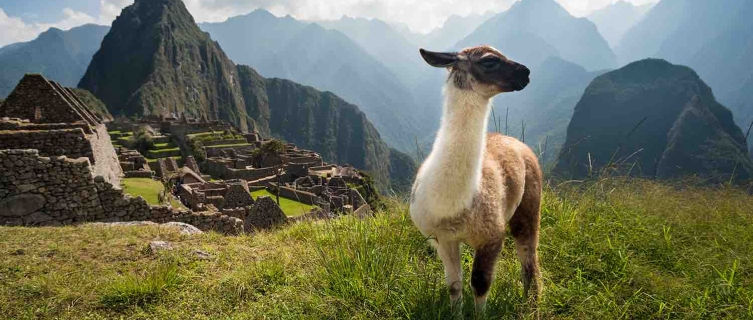 Machu Picchu, Peru