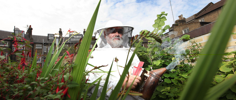 Rooftop gardens contribute to a building's performance