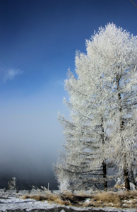 Siberia is a wintry wonder