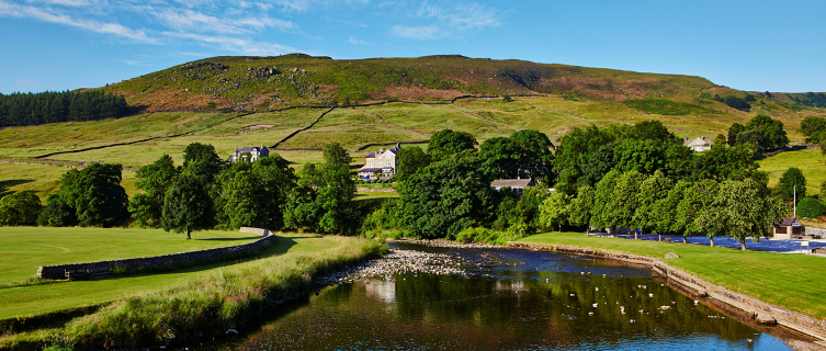 The Devonshire Fell is glorious in the summer