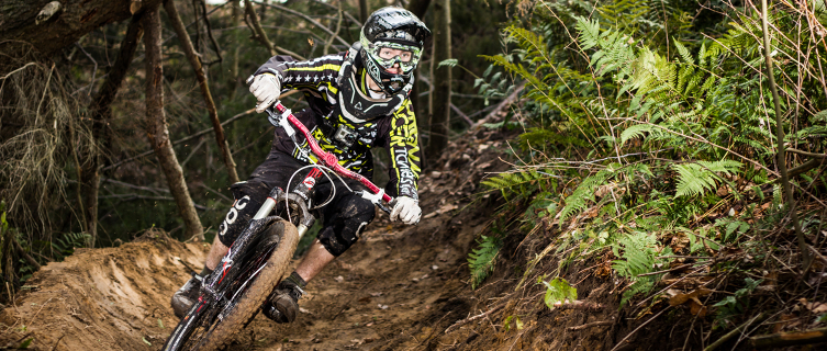 Tracks of varying difficulty cut through Coed Llandegla Forest