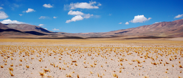 Unspoilt nature as far as the eye can see