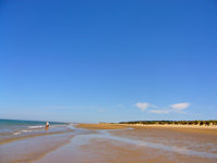 Norfolk's beaches can stretch for miles