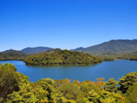 Lorraine loved the luscious scenery around Cairns