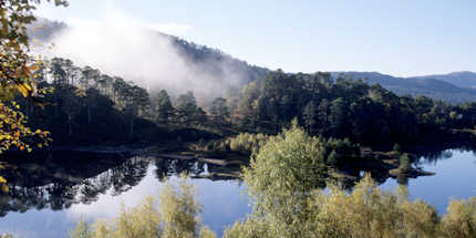 Look for wildlife along the various trails at Glen Affric