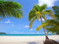 Beaches along the southern coast attract both turtles and travellers