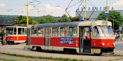 Grab a no. 7 tram to the Botanical Gardens