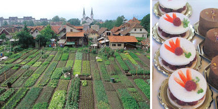 Enjoy Krakovo's market gardens and Lolita's cakes