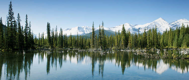 Alberta is paradise for nature lovers