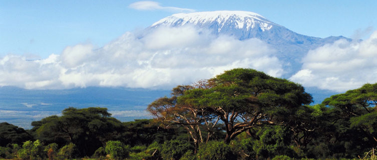 Amboseli Park, Kenya