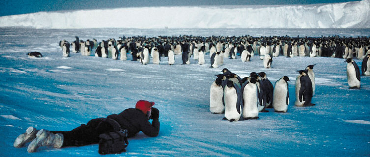 Antarctica is a photographer's dream