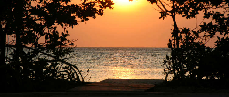 Arch of trees with sunset, Curacao