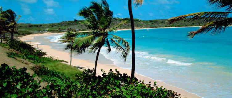 Beach, Antigua