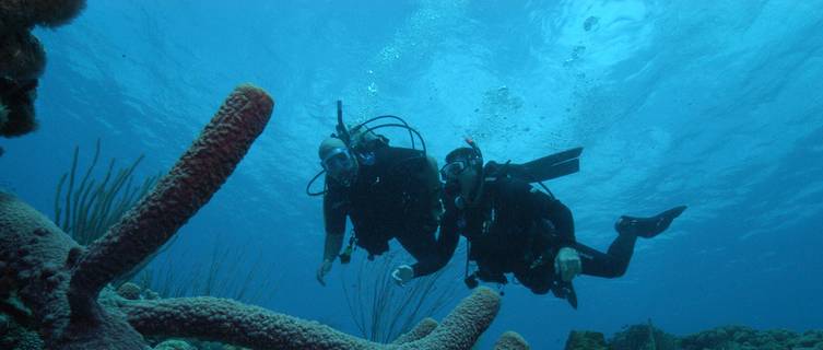 Bonaire is a famous diving site