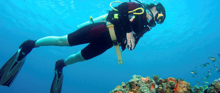 Bonaire is legendary for its diving