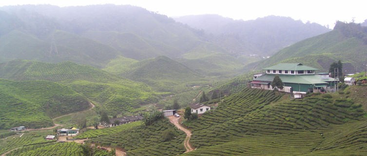 Cameron Highlands, Malaysia