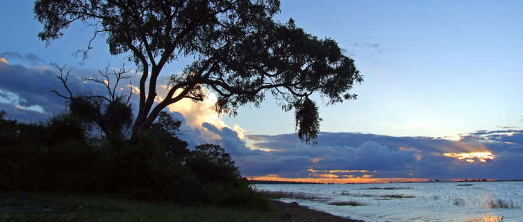 Chobe National Park, Botswana