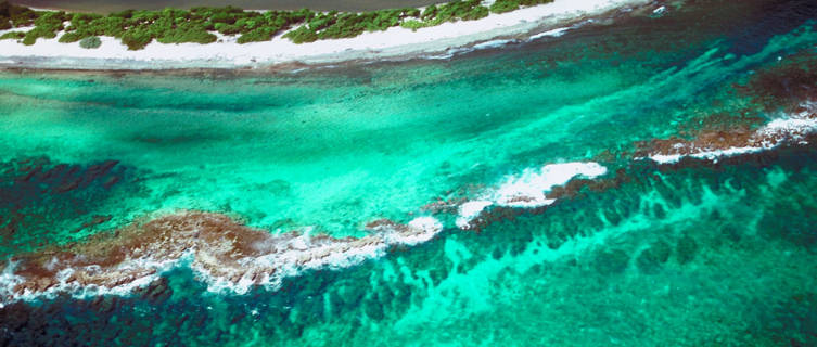 Coral reef in Pointe Des Chateaux, Guadeloupe