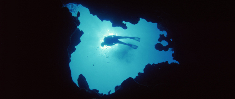 Dive in Puerto Rico