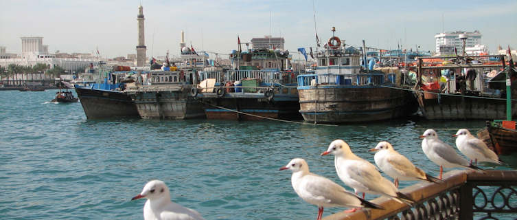 Dubai Creek