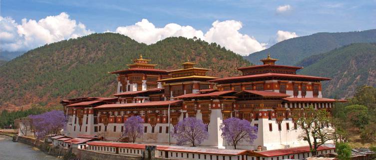 Elephant Hill, Punakha, Bhutan