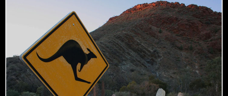 Explore the orche-coloured Flinders Ranges in South Australia