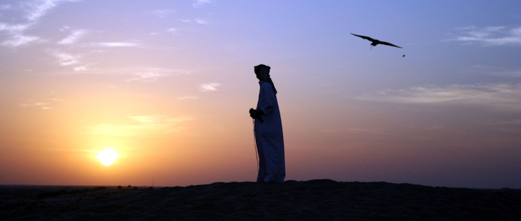 Falconer at sunset