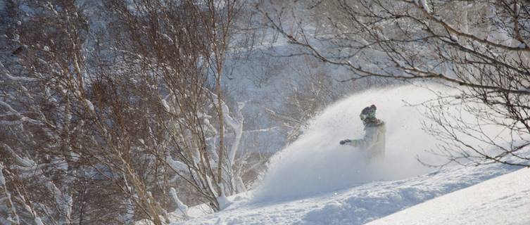 Fresh powder, Niseko