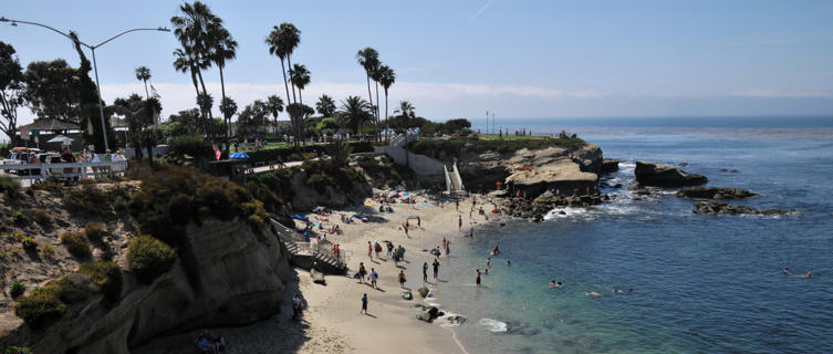 Fringe beach, San Diego