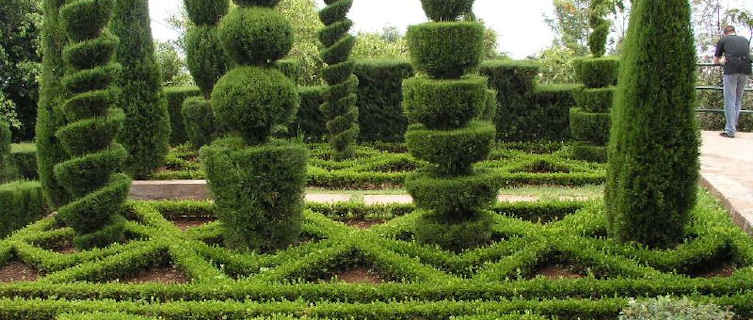 Funchal Botanical Garden, Madeira