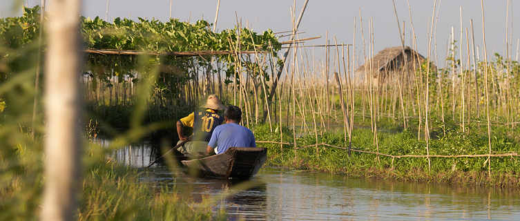 Inle Lake is famed for its floating gardens, Myanmar