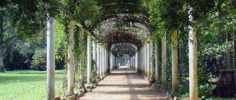 Jardim Botânico, Rio de Janeiro