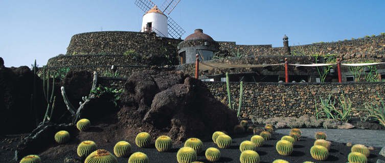 Jardin de Cactus, Lanzarote