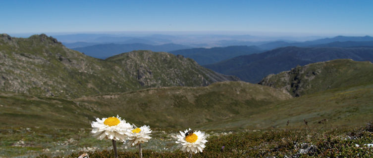 Kosciuszko National Park, New South Wales